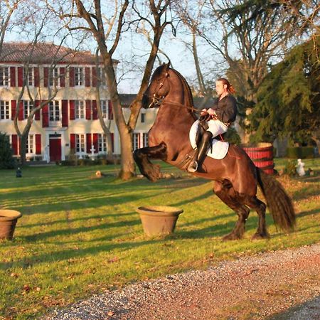 Le Relais Du Silence Chateau Lavail Labastide-d'Anjou Exterior photo